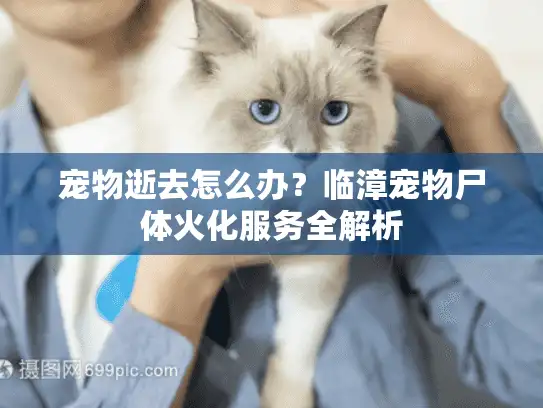 宠物逝去怎么办？临漳宠物尸体火化服务全解析