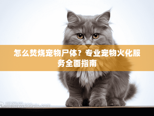 怎么焚烧宠物尸体？专业宠物火化服务全面指南