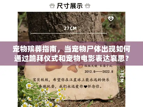 宠物殡葬指南，当宠物尸体出现如何通过跪拜仪式和宠物电影表达哀思？