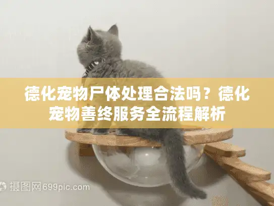 德化宠物尸体处理合法吗？德化宠物善终服务全流程解析