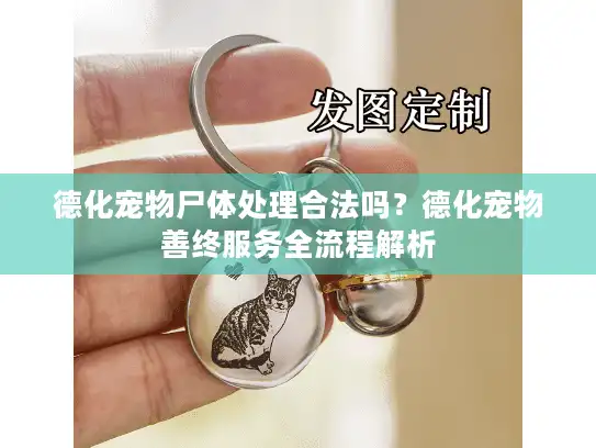 德化宠物尸体处理合法吗？德化宠物善终服务全流程解析