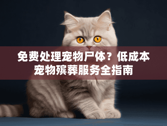 免费处理宠物尸体?低成本宠物殡葬服务全指南 免费处理宠物尸体?低成本宠物殡葬服务全指南