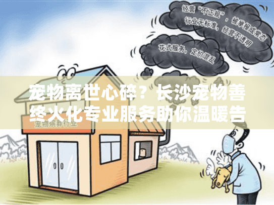 宠物离世心碎？长沙宠物善终火化专业服务助你温暖告别