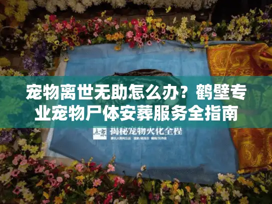 宠物离世无助怎么办?鹤壁专业宠物尸体安葬服务全指南 宠物离世无助怎么办?鹤壁专业宠物尸体安葬服务全指南