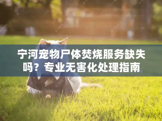 宁河宠物尸体焚烧服务缺失吗?专业无害化处理指南 宁河宠物尸体焚烧服务缺失吗?专业无害化处理指南