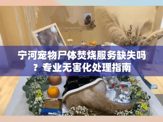 宁河宠物尸体焚烧服务缺失吗?专业无害化处理指南 宁河宠物尸体焚烧服务缺失吗?专业无害化处理指南