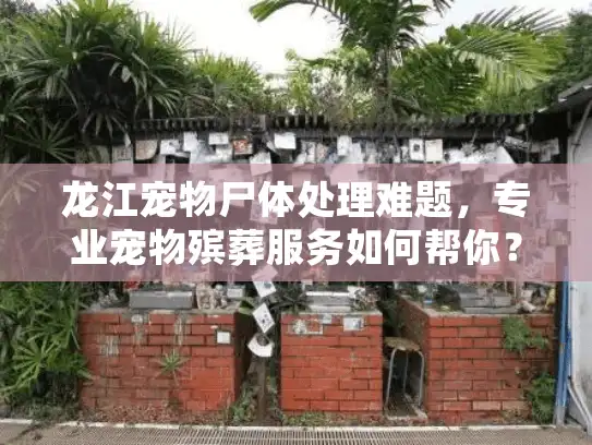 龙江宠物尸体处理难题，专业宠物殡葬服务如何帮你？