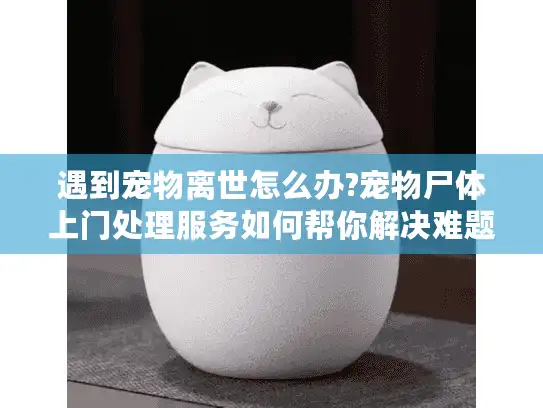 遇到宠物离世怎么办?宠物尸体上门处理服务如何帮你解决难题