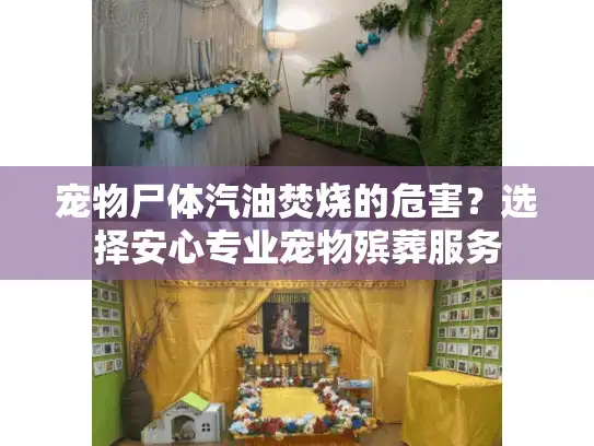 宠物尸体汽油焚烧的危害？选择安心专业宠物殡葬服务