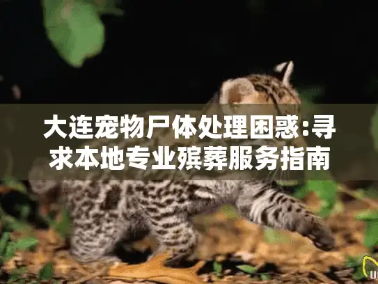 大连宠物尸体处理困惑:寻求本地专业殡葬服务指南