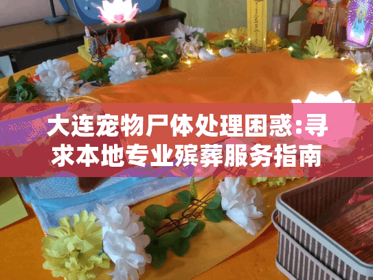 大连宠物尸体处理困惑:寻求本地专业殡葬服务指南