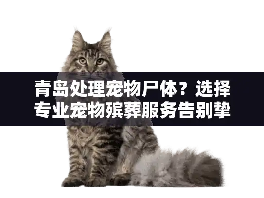 青岛处理宠物尸体?选择专业宠物殡葬服务告别挚爱 青岛处理宠物尸体?选择专业宠物殡葬服务告别挚爱