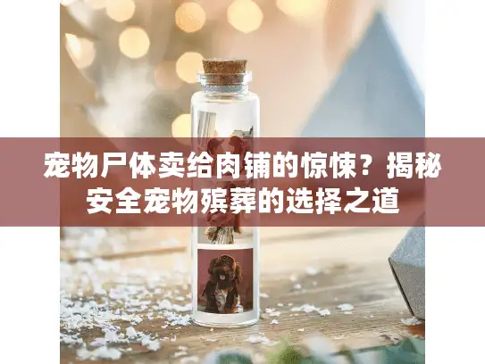 宠物尸体卖给肉铺的惊悚？揭秘安全宠物殡葬的选择之道