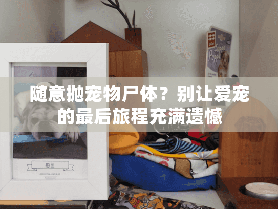 随意抛宠物尸体?别让爱宠的最后旅程充满遗憾 随意抛宠物尸体?别让爱宠的最后旅程充满遗憾
