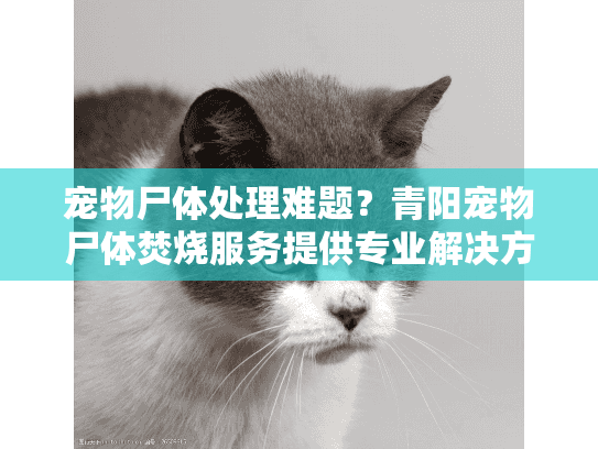 宠物尸体处理难题?青阳宠物尸体焚烧服务提供专业解决方案 宠物尸体处理难题?青阳宠物尸体焚烧服务提供专业解决方案