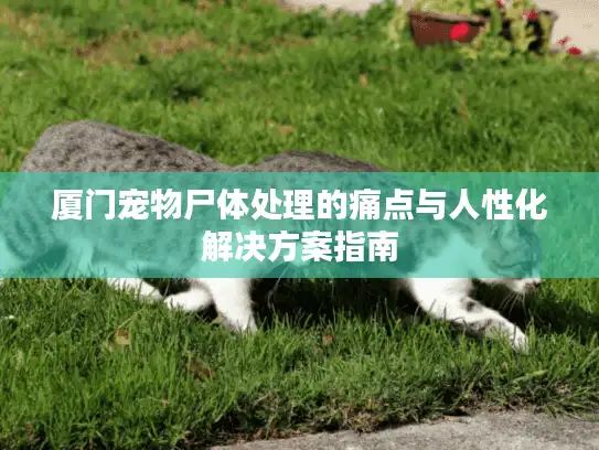 厦门宠物尸体处理的痛点与人性化解决方案指南 厦门宠物尸体处理的痛点与人性化解决方案指南