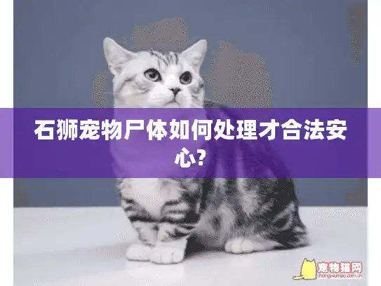 石狮宠物尸体如何处理才合法安心?