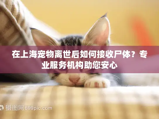 在上海宠物离世后如何接收尸体？专业服务机构助您安心