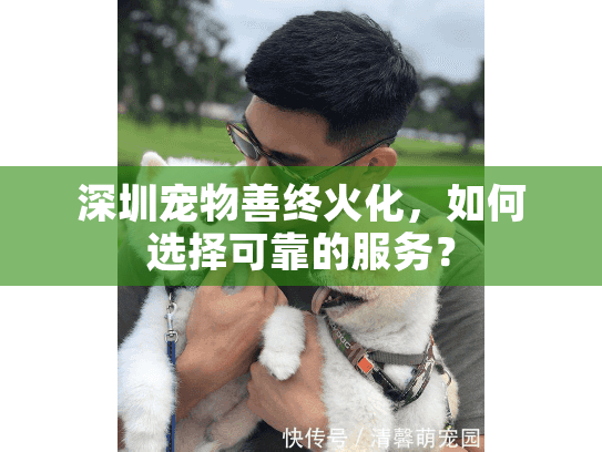 深圳宠物善终火化，如何选择可靠的服务？