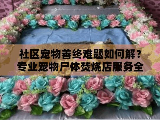 社区宠物善终难题如何解？专业宠物尸体焚烧店服务全解析