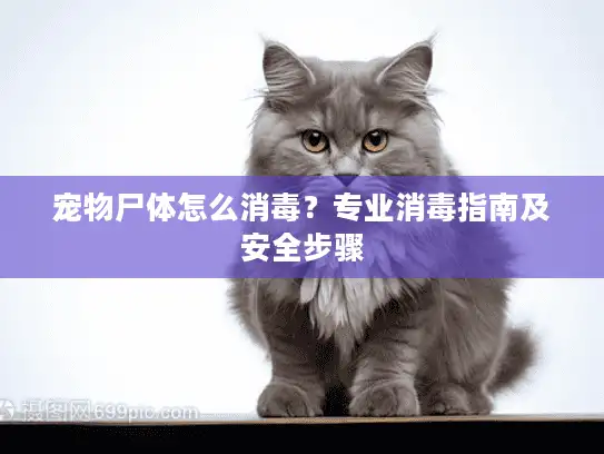 宠物尸体怎么消毒？专业消毒指南及安全步骤