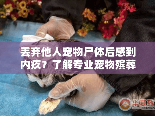 丢弃他人宠物尸体后感到内疚？了解专业宠物殡葬服务来缓解