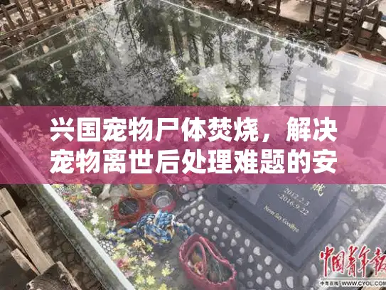 兴国宠物尸体焚烧，解决宠物离世后处理难题的安心方案