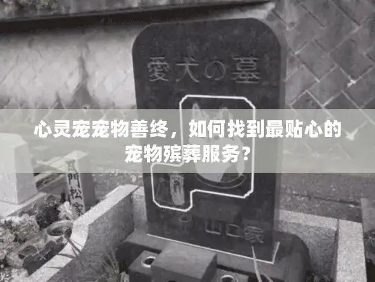 心灵宠宠物善终，如何找到最贴心的宠物殡葬服务？