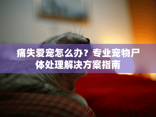 痛失爱宠怎么办?专业宠物尸体处理解决方案指南 痛失爱宠怎么办?专业宠物尸体处理解决方案指南