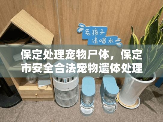 保定处理宠物尸体，保定市安全合法宠物遗体处理方案是什么？