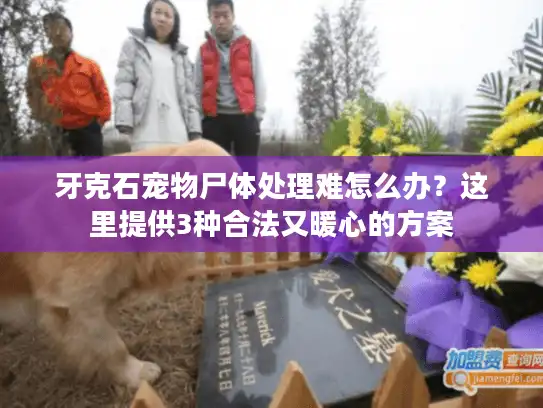 牙克石宠物尸体处理难怎么办？这里提供3种合法又暖心的方案