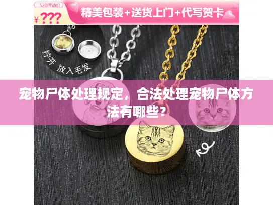 宠物尸体处理规定，合法处理宠物尸体方法有哪些？