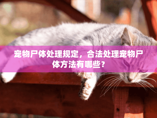 宠物尸体处理规定，合法处理宠物尸体方法有哪些？