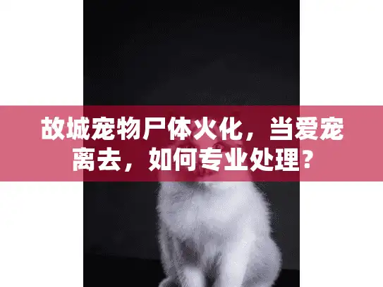 故城宠物尸体火化，当爱宠离去，如何专业处理？