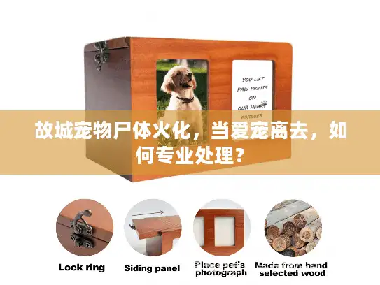 故城宠物尸体火化，当爱宠离去，如何专业处理？