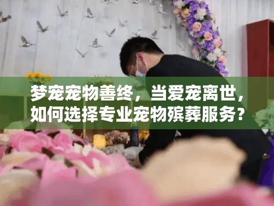 梦宠宠物善终，当爱宠离世，如何选择专业宠物殡葬服务？
