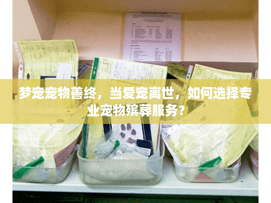 梦宠宠物善终，当爱宠离世，如何选择专业宠物殡葬服务？