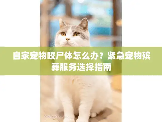 自家宠物咬尸体怎么办？紧急宠物殡葬服务选择指南