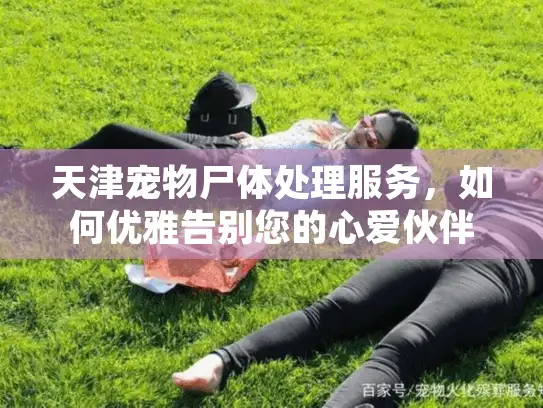 天津宠物尸体处理服务,如何优雅告别您的心爱伙伴? 天津宠物尸体处理服务,如何优雅告别您的心爱伙伴?