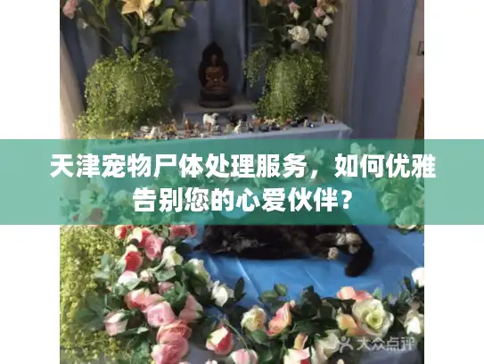 天津宠物尸体处理服务,如何优雅告别您的心爱伙伴? 天津宠物尸体处理服务,如何优雅告别您的心爱伙伴?