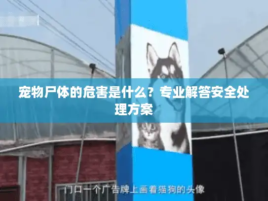 宠物尸体的危害是什么?专业解答安全处理方案 宠物尸体的危害是什么?专业解答安全处理方案