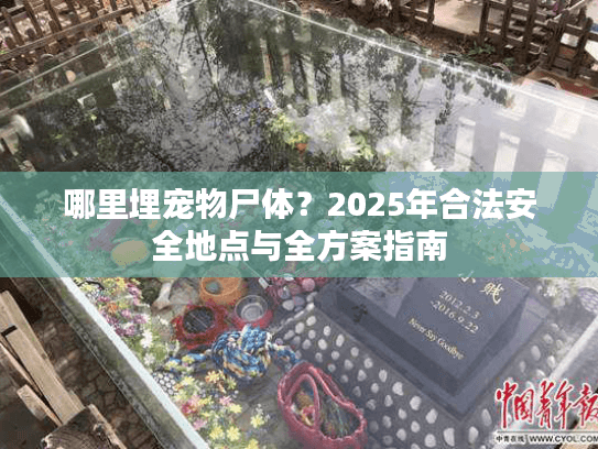 哪里埋宠物尸体?2025年合法安全地点与全方案指南 哪里埋宠物尸体?2025年合法安全地点与全方案指南