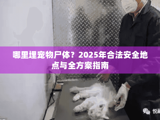 哪里埋宠物尸体?2025年合法安全地点与全方案指南 哪里埋宠物尸体?2025年合法安全地点与全方案指南