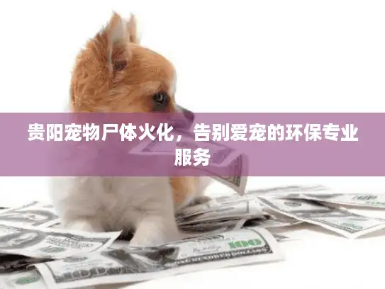 贵阳宠物尸体火化,告别爱宠的环保专业服务 贵阳宠物尸体火化,告别爱宠的环保专业服务