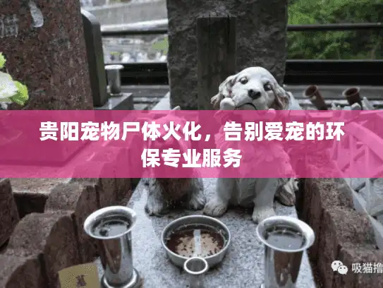 贵阳宠物尸体火化,告别爱宠的环保专业服务 贵阳宠物尸体火化,告别爱宠的环保专业服务