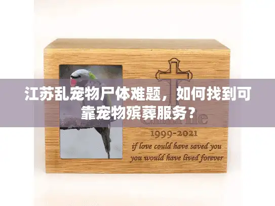 江苏乱宠物尸体难题，如何找到可靠宠物殡葬服务？