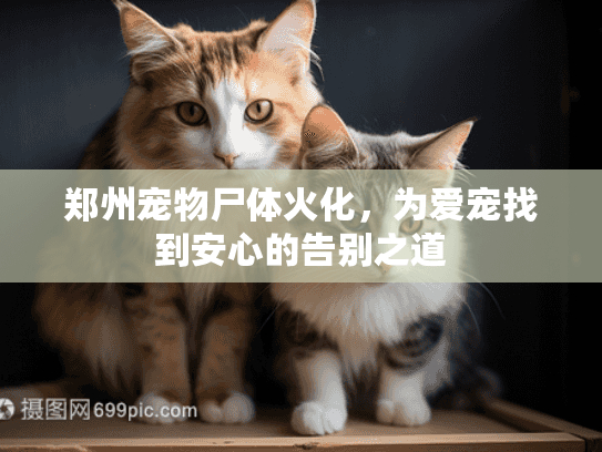 郑州宠物尸体火化，为爱宠找到安心的告别之道