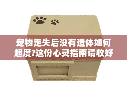 宠物走失后没有遗体如何超度?这份心灵指南请收好