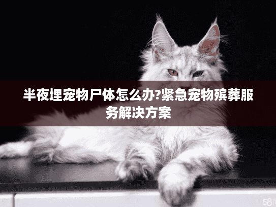 半夜埋宠物尸体怎么办?紧急宠物殡葬服务解决方案