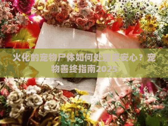 火化的宠物尸体如何处理更安心？宠物善终指南2025